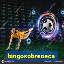 bingosobreoeca