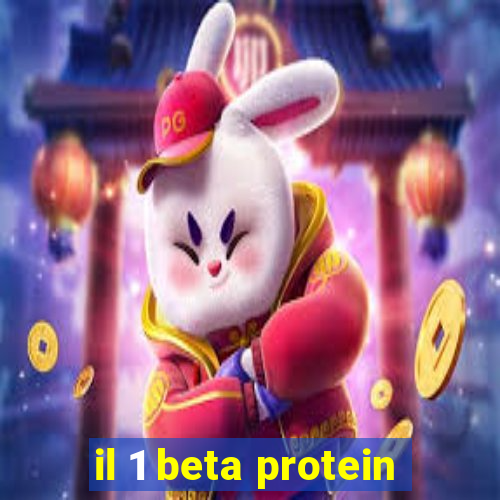 il 1 beta protein