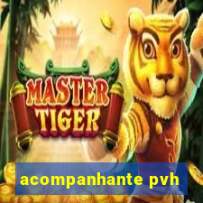 acompanhante pvh