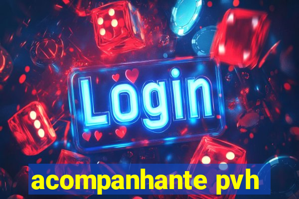 acompanhante pvh