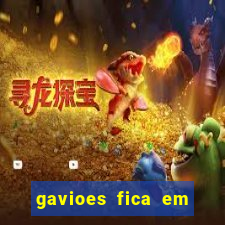 gavioes fica em qual setor