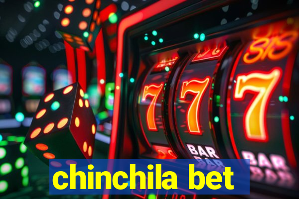 chinchila bet