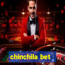 chinchila bet