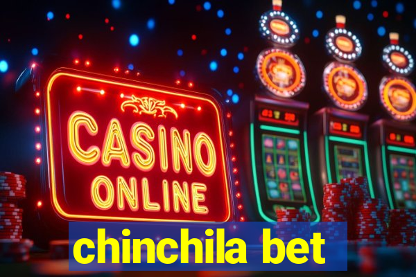 chinchila bet