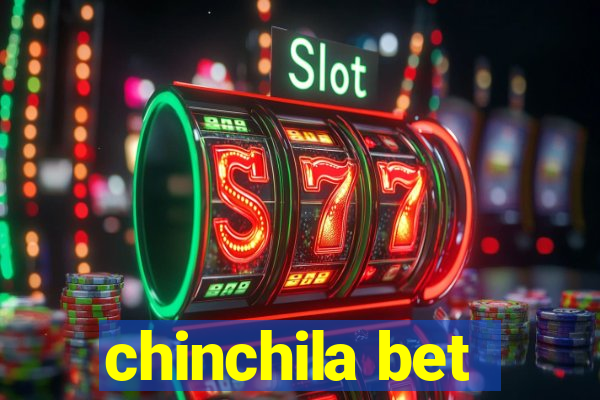 chinchila bet