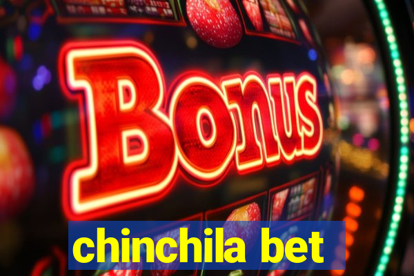 chinchila bet