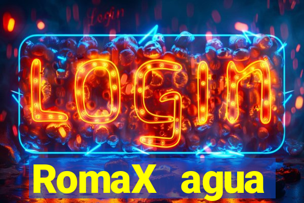 RomaX agua sanitaria fispq agua sanitaria romax