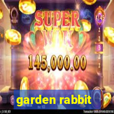 garden rabbit