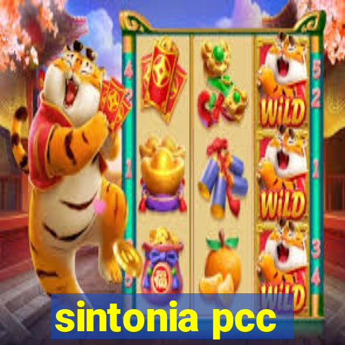 sintonia pcc