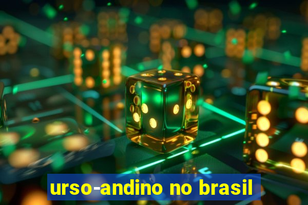 urso-andino no brasil