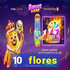 10 flores silvestres da regi o sudeste