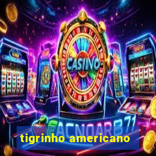 tigrinho americano