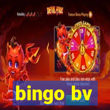 bingo bv