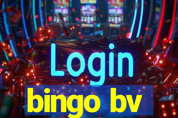 bingo bv