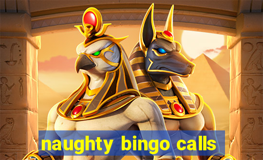 naughty bingo calls