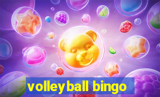 volleyball bingo