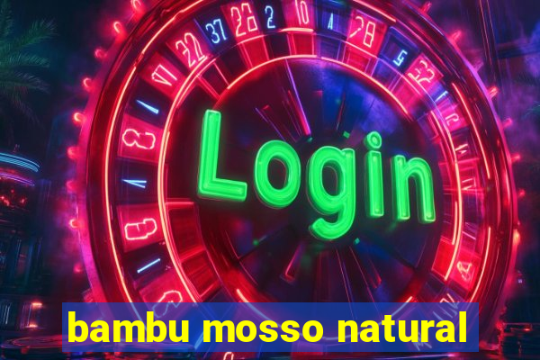 bambu mosso natural