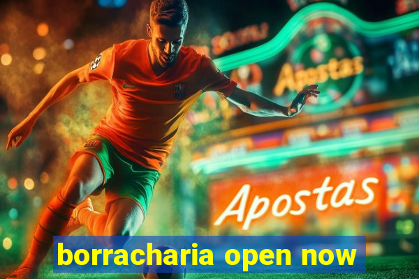 borracharia open now