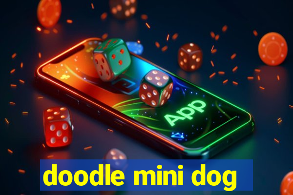 doodle mini dog