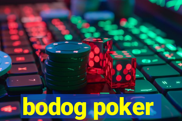 bodog poker