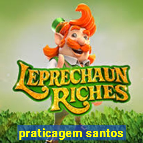 praticagem santos