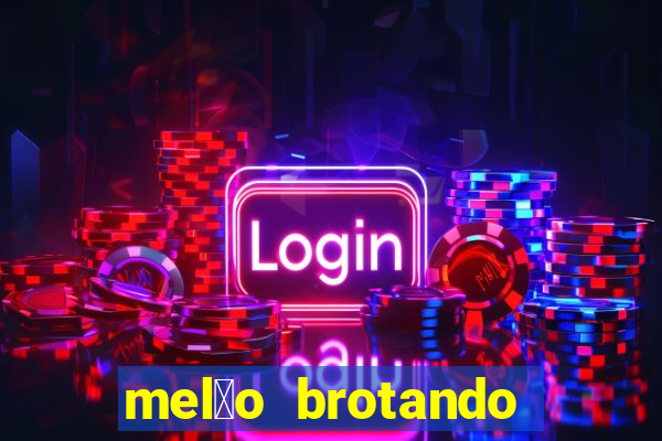 mel茫o brotando pode comer