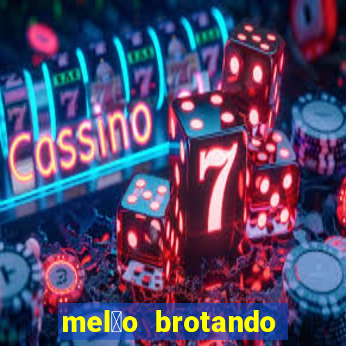 mel茫o brotando pode comer