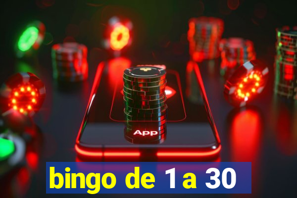 bingo de 1 a 30