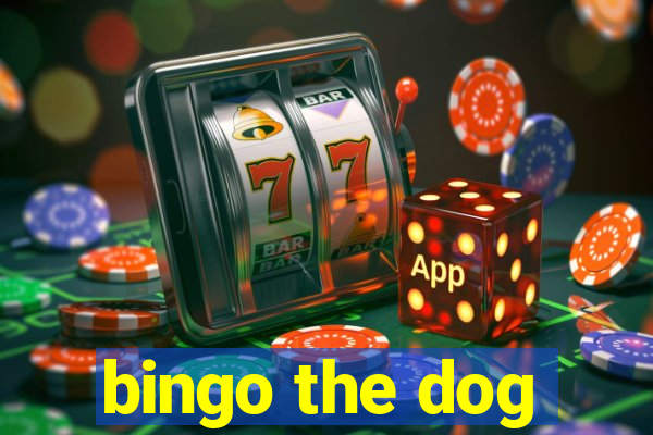 bingo the dog