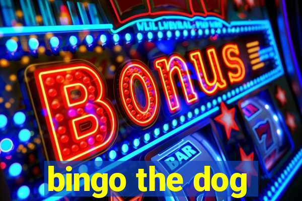 bingo the dog