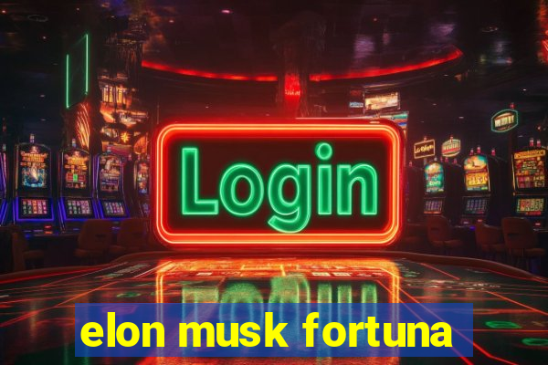 elon musk fortuna