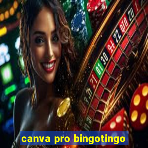 canva pro bingotingo