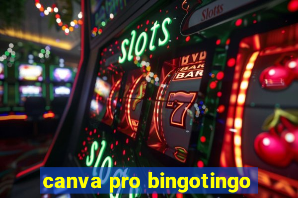 canva pro bingotingo