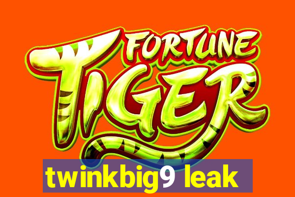 twinkbig9 leak