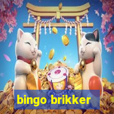 bingo brikker