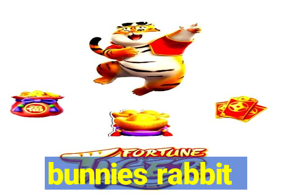 bunnies rabbit