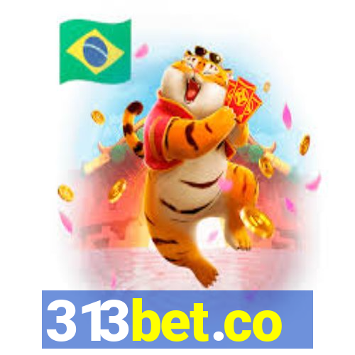 313bet.co