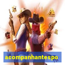 acompanhantesportovelho