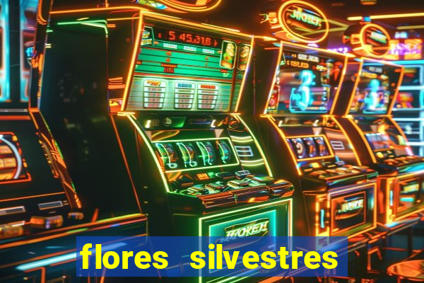 flores silvestres desbravadores desbravadores 25