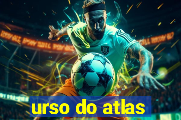 urso do atlas