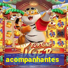 acompanhantes gordinhas santos