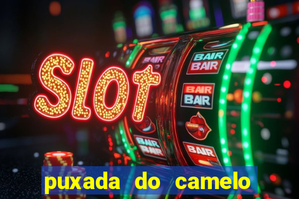 puxada do camelo no jogo do bicho