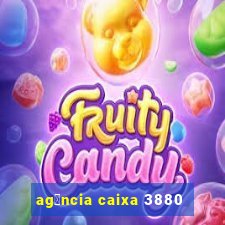 ag锚ncia caixa 3880