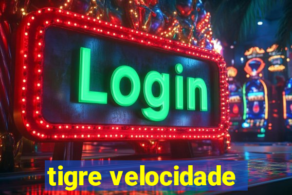 tigre velocidade