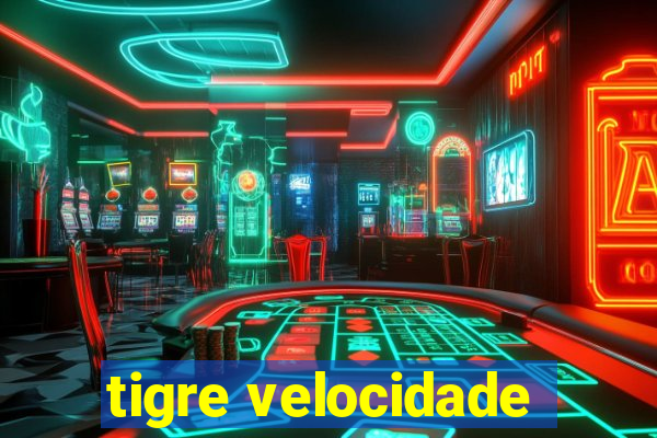 tigre velocidade