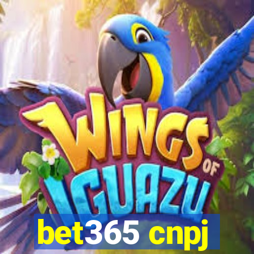 bet365 cnpj