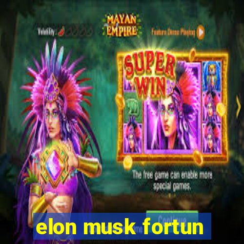 elon musk fortun