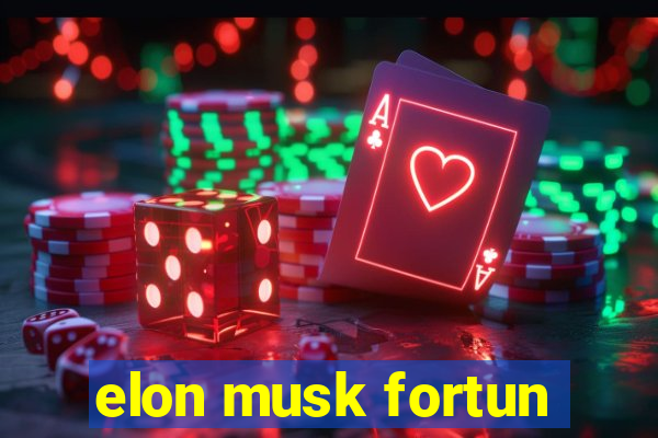 elon musk fortun