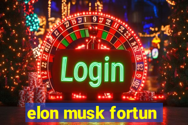 elon musk fortun