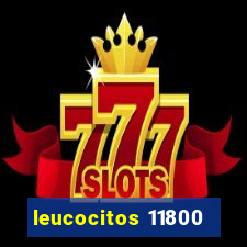 leucocitos 11800